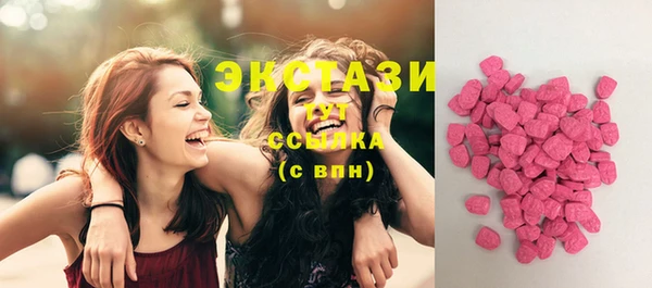 молекула духа Медвежьегорск