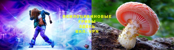 дмт Медногорск
