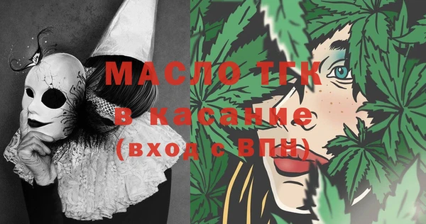 молекула духа Медвежьегорск