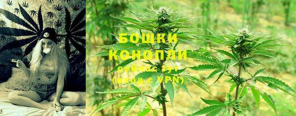 молекула духа Медвежьегорск