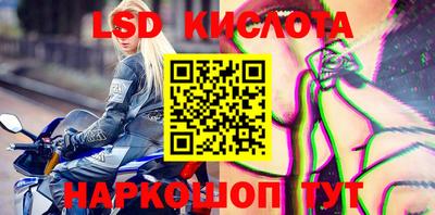 PSILOCYBIN Донской