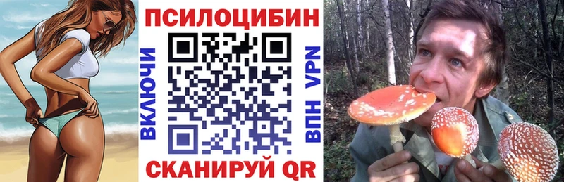 это наркотические препараты  Тихорецк  Галлюциногенные грибы Psilocybine cubensis  хочу наркоту 