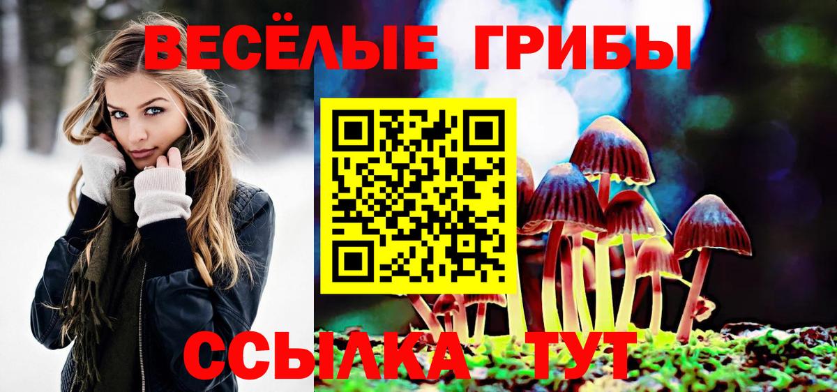 Псилоцибиновые грибы GOLDEN TEACHER Тихорецк