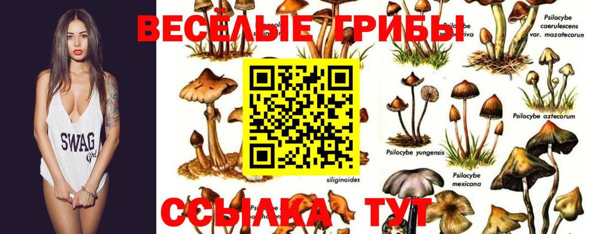Псилоцибиновые грибы Magic Shrooms  Псилоцибиновые грибы прущие грибы  Вход с VPN  Тихорецк 